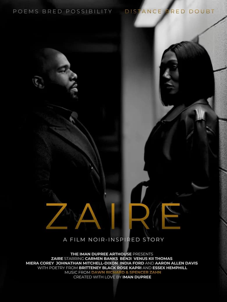 Zaire: A Film Noir-Inspired Story