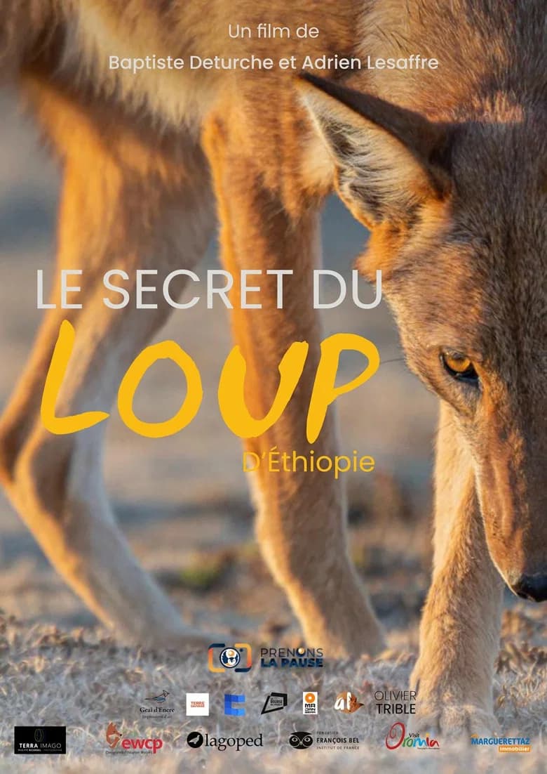 Le Secret du Loup d’Éthiopie
