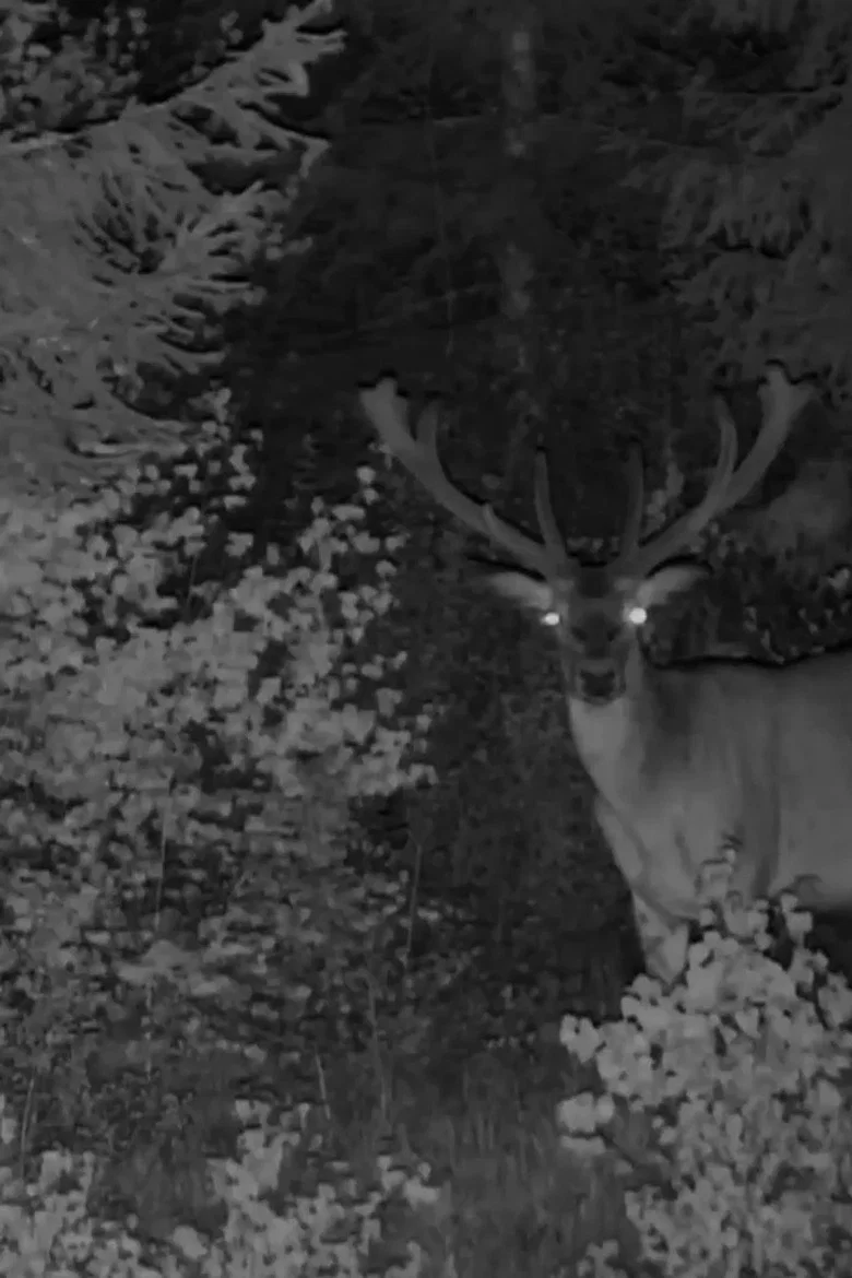 La nuit d'à côté
