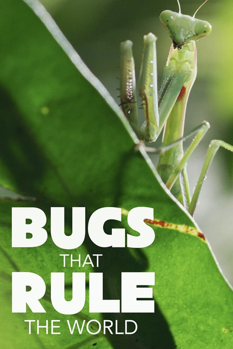 Les insectes, super-héros en minuscule