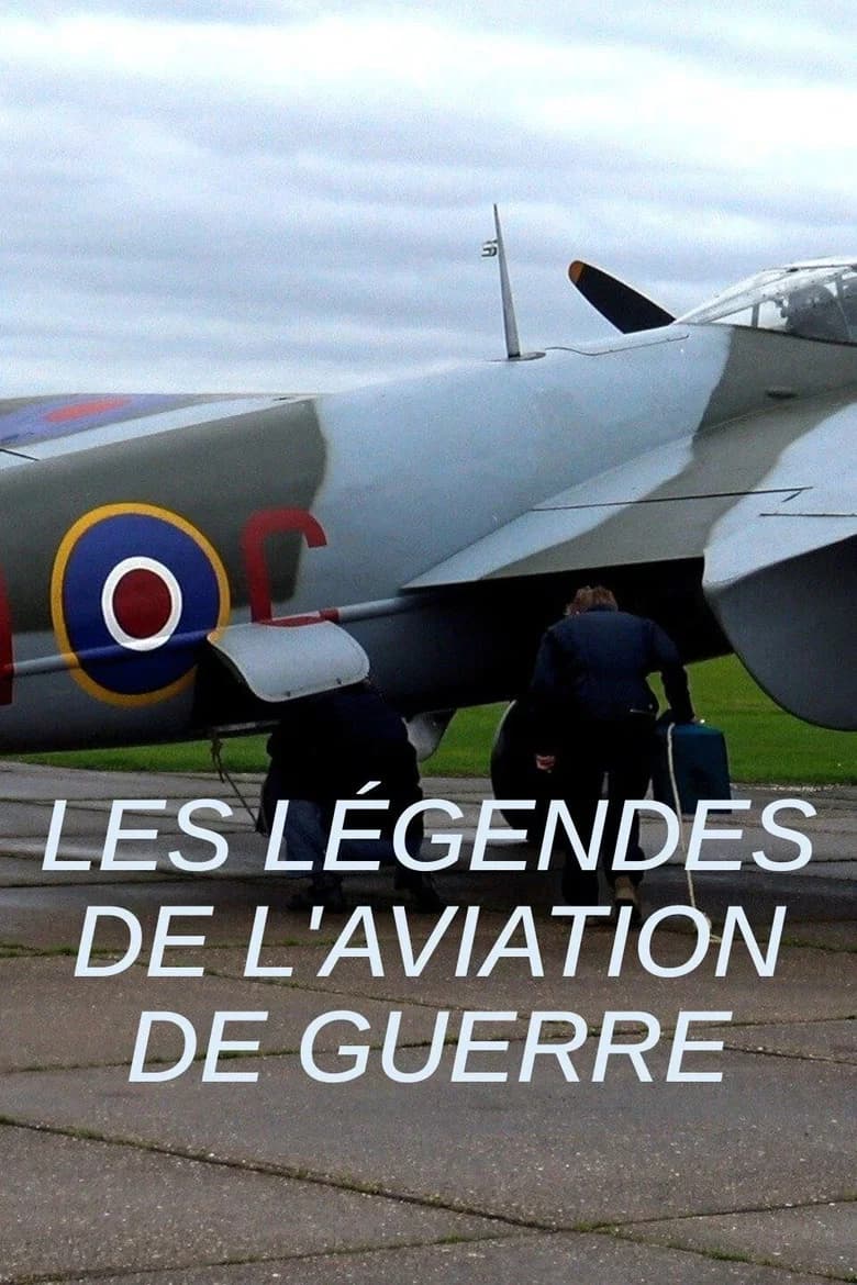 Les légendes de l'aviation de guerre