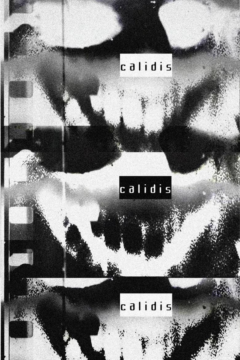 Calidis