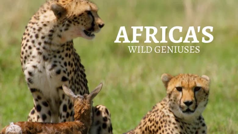 Africa's Wild Geniuses