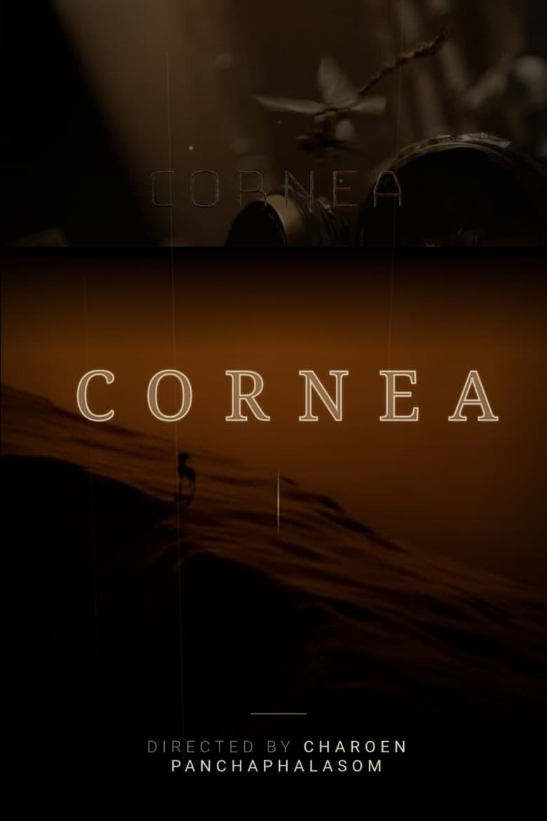 CORNEA