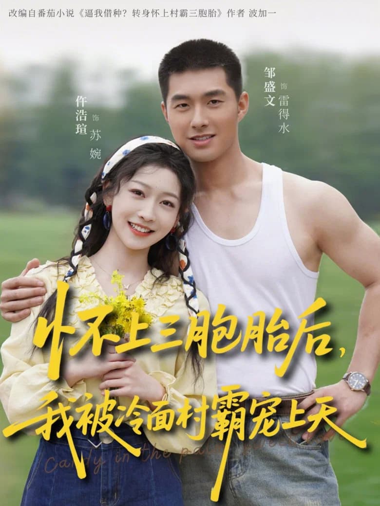 怀上三胞胎后，我被冷面村霸宠上天