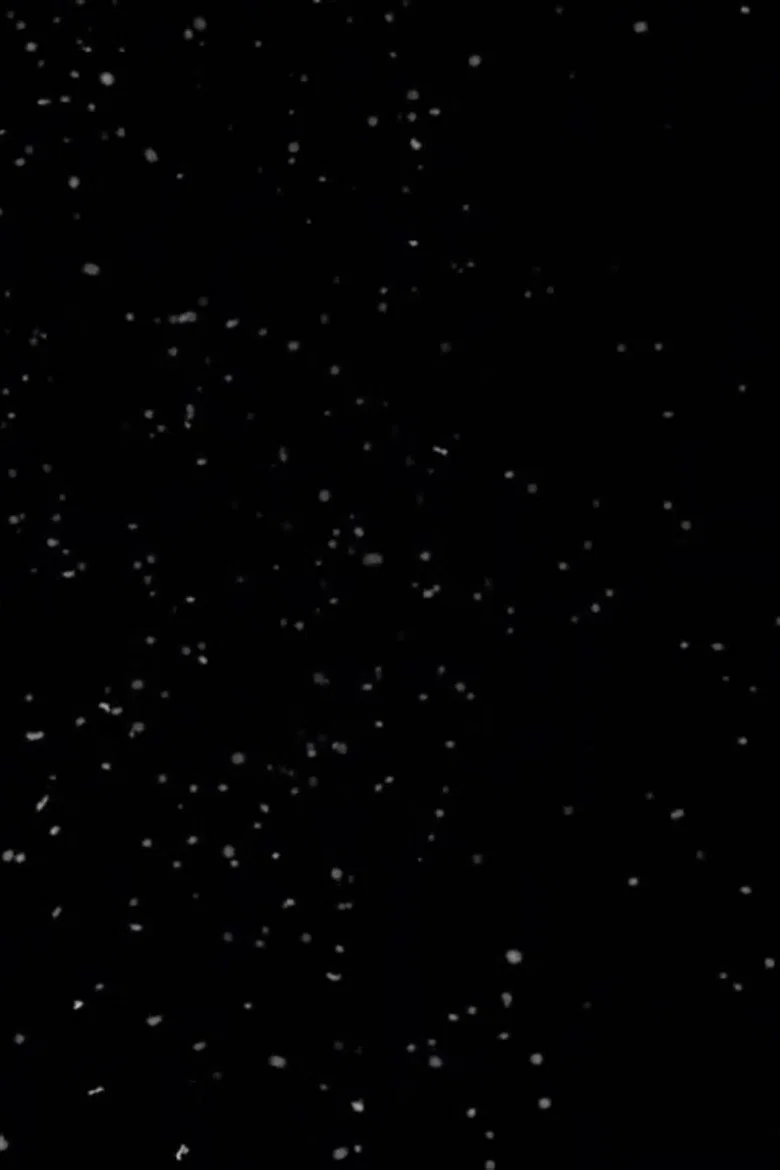 The Eternal Relapse