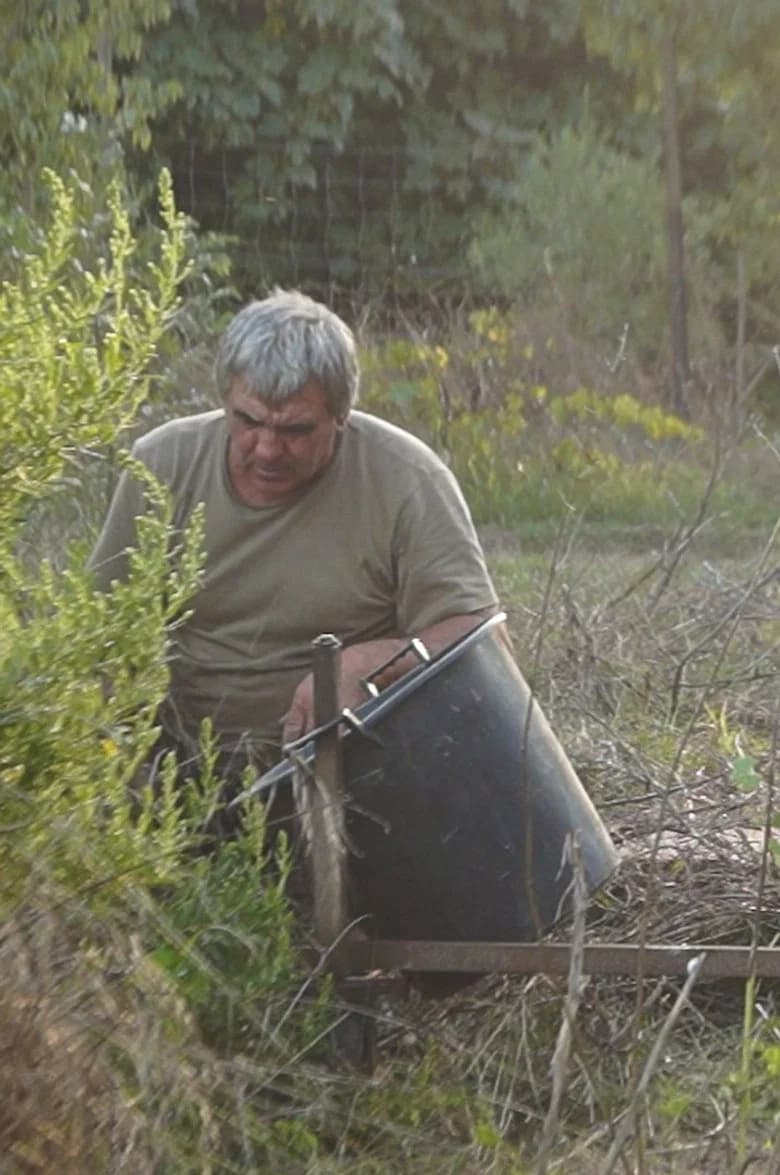 Les haricots ne poussent pas en ligne droite