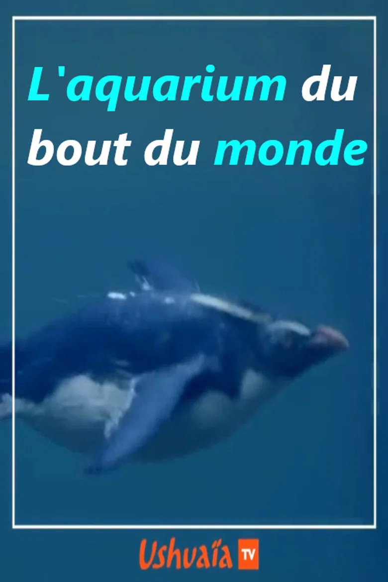 L'aquarium du bout du monde