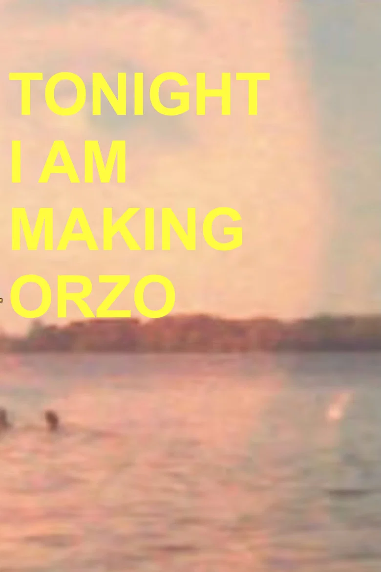 Tonight I Am Making Orzo