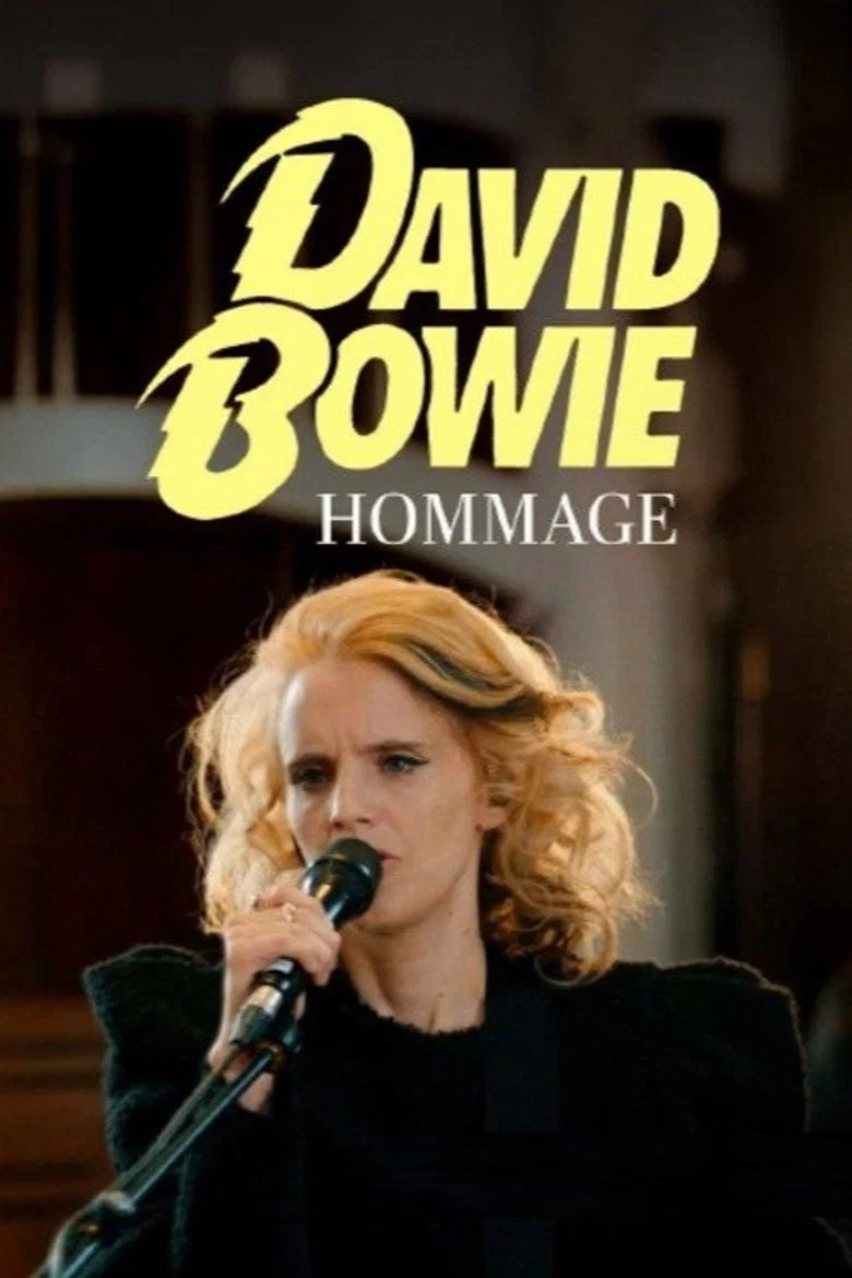 Tribute to David Bowie Heroes Never Die
