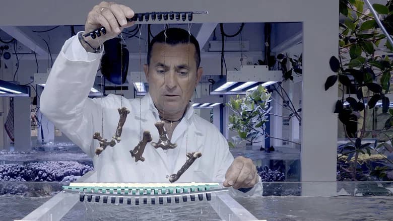 Dé-extinction, un nouvel espoir ?
