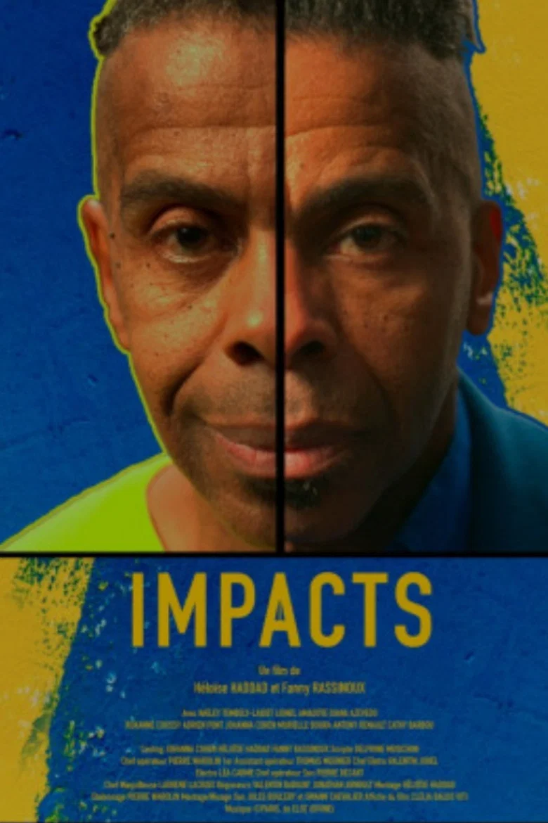 Impacts