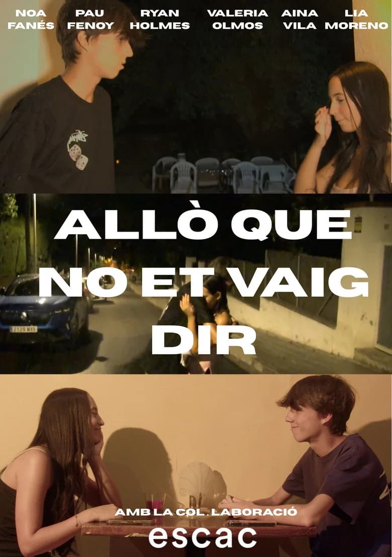 Allò que no et vaig dir