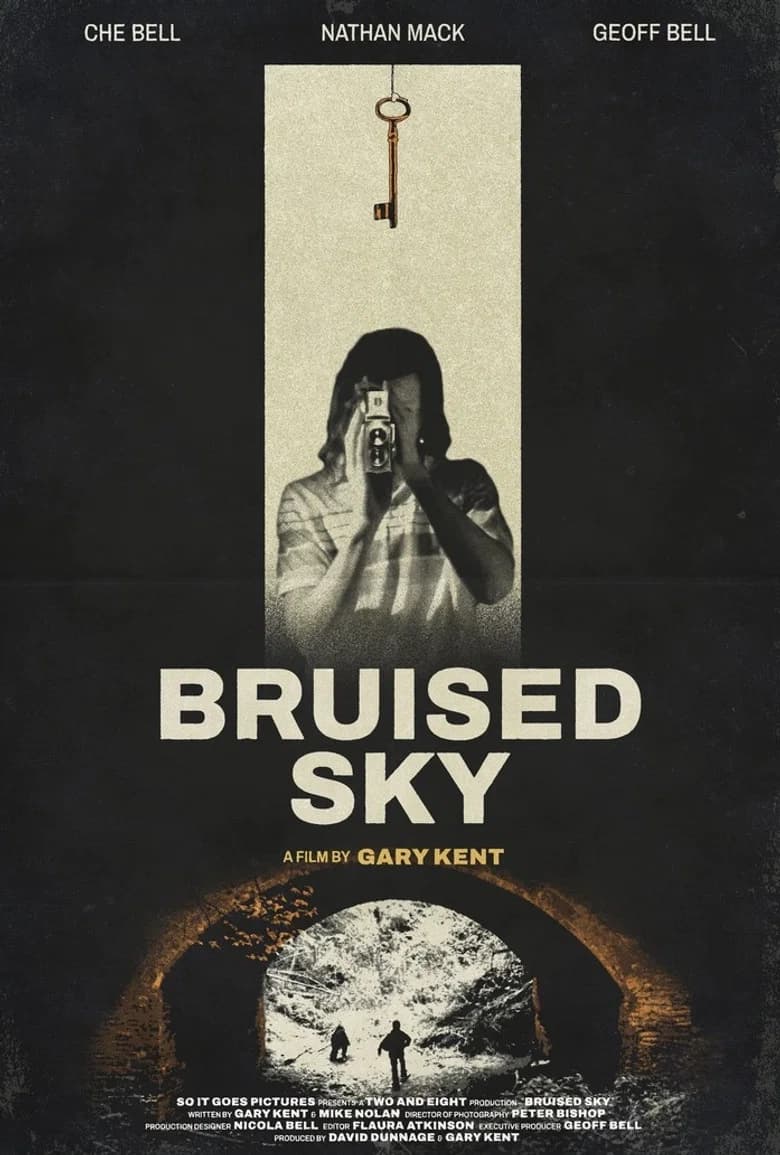 Bruised Sky