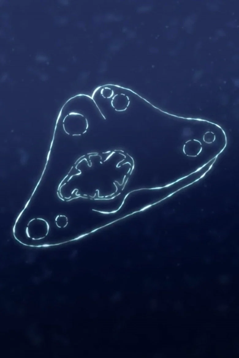ほつれにふれる