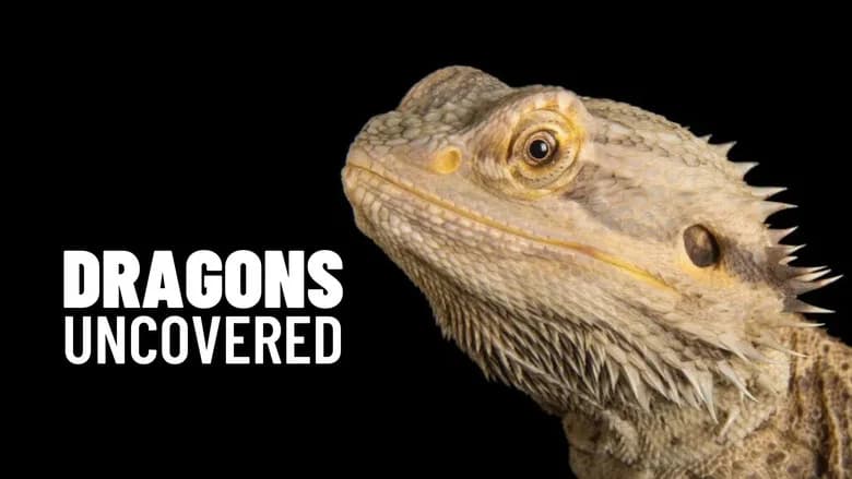 Dragons Uncovered