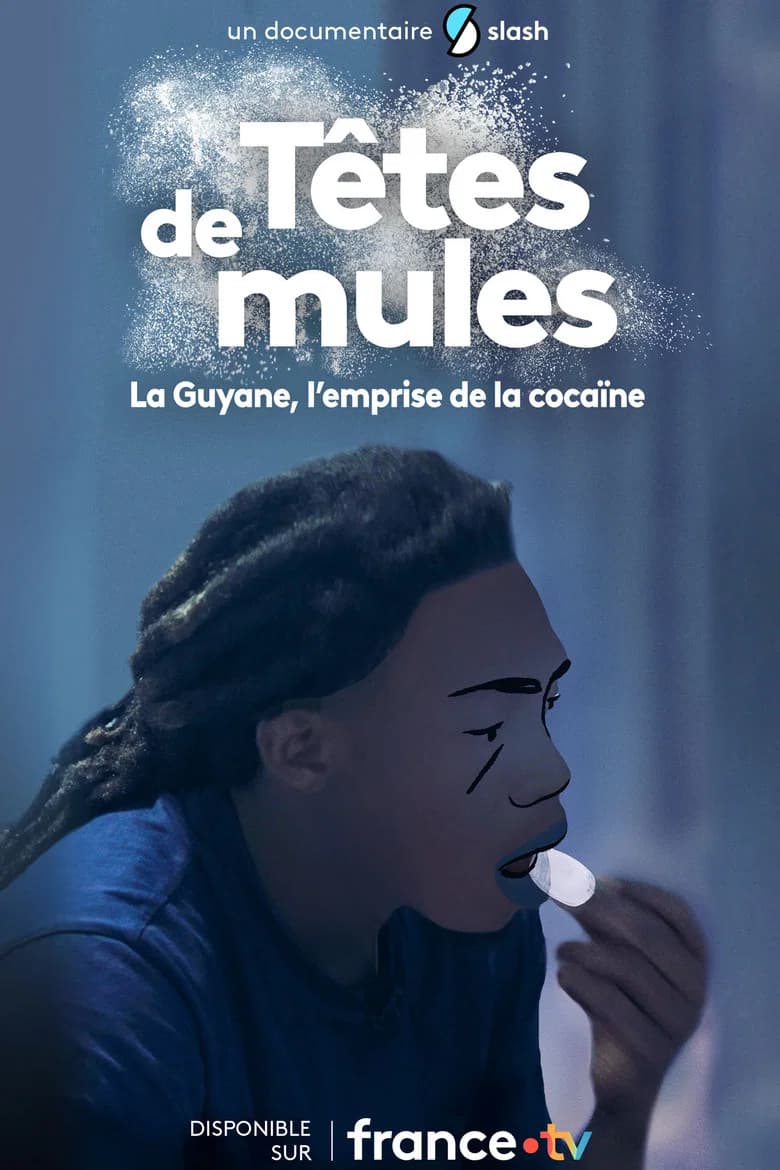 Têtes de mules : La Guyane, l'emprise de la cocaïne