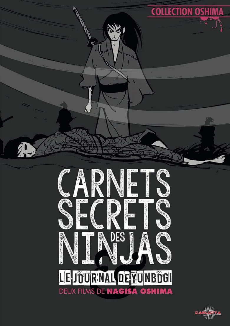 Carnets secrets des ninjas