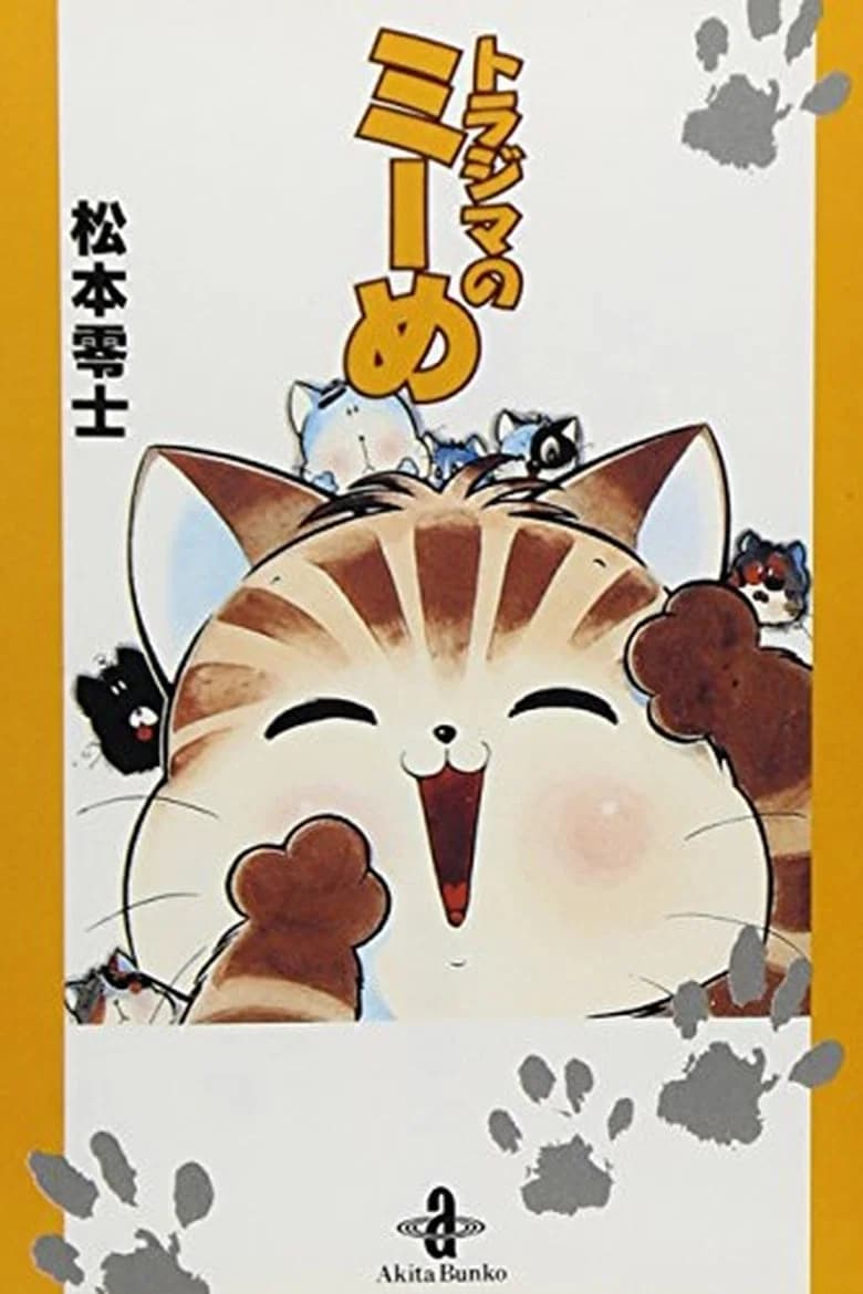 Miime the Tabby