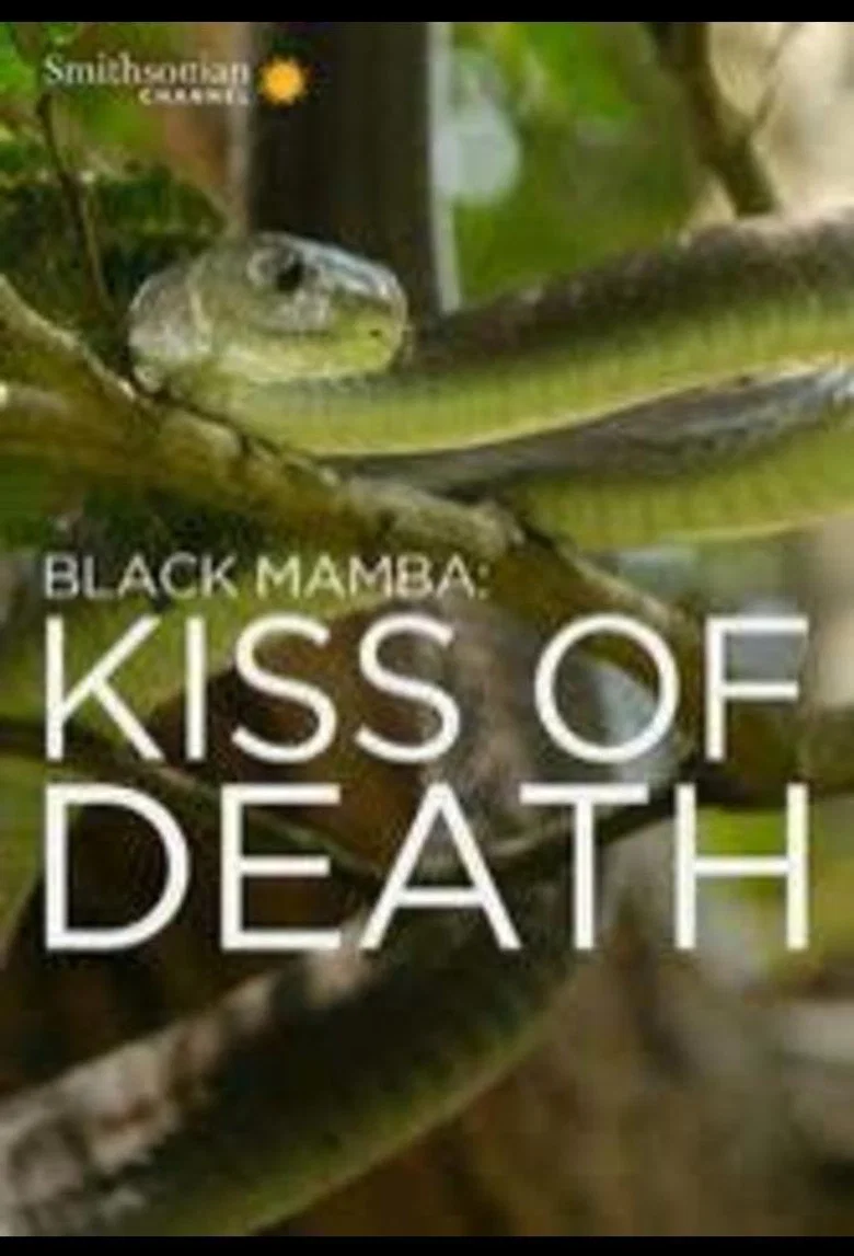 Black Mamba Kiss Of Death