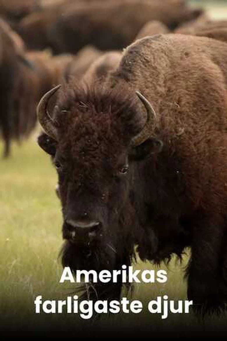 America's Deadliest