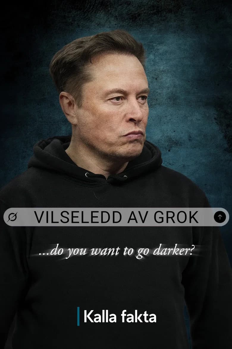 Kalla fakta: Vilseledd av Grok