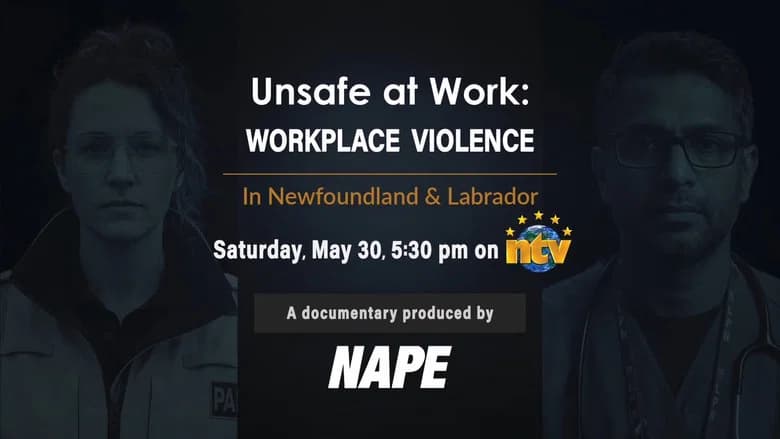 Unsafe at Work: Workplace Violence in NL