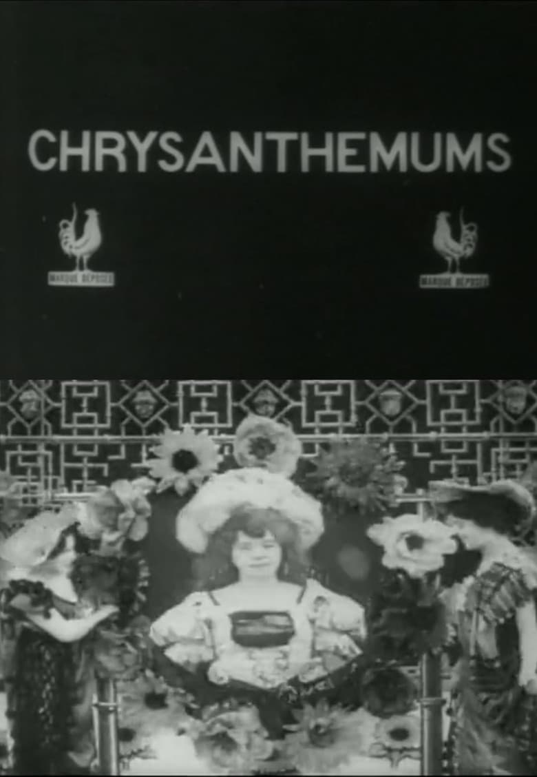 Les Chrysanthèmes