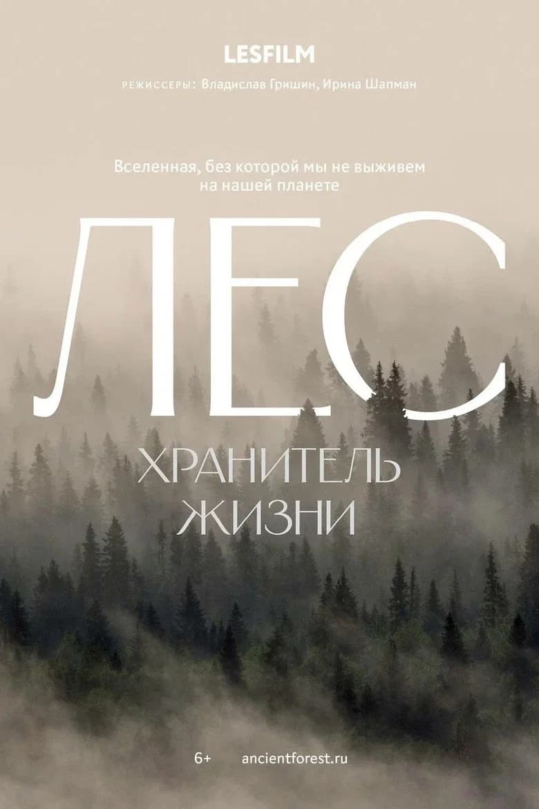 Лес. Хранитель жизни
