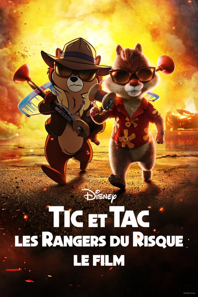 Tic et Tac, les Rangers du Risque