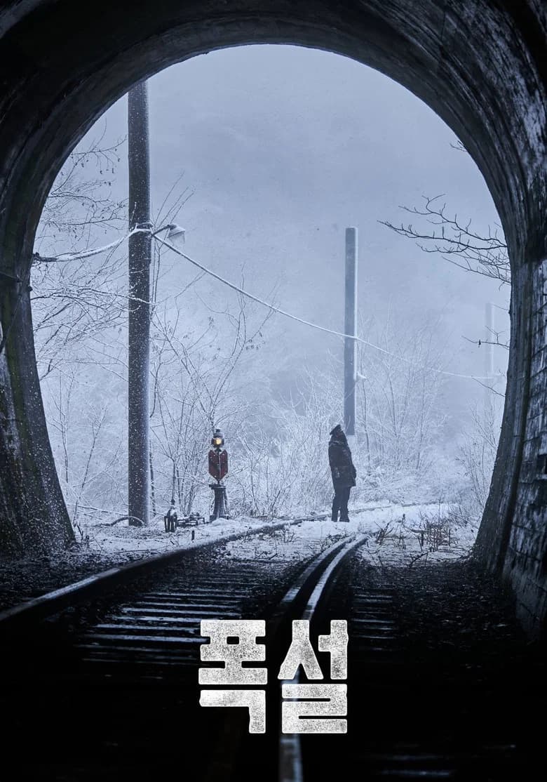 폭설