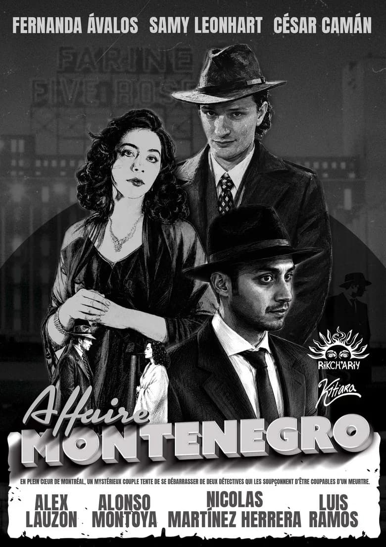 Affaire Montenegro