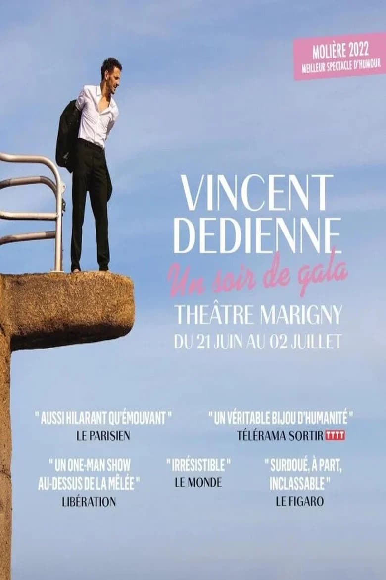 Vincent Dedienne Un soir de gala