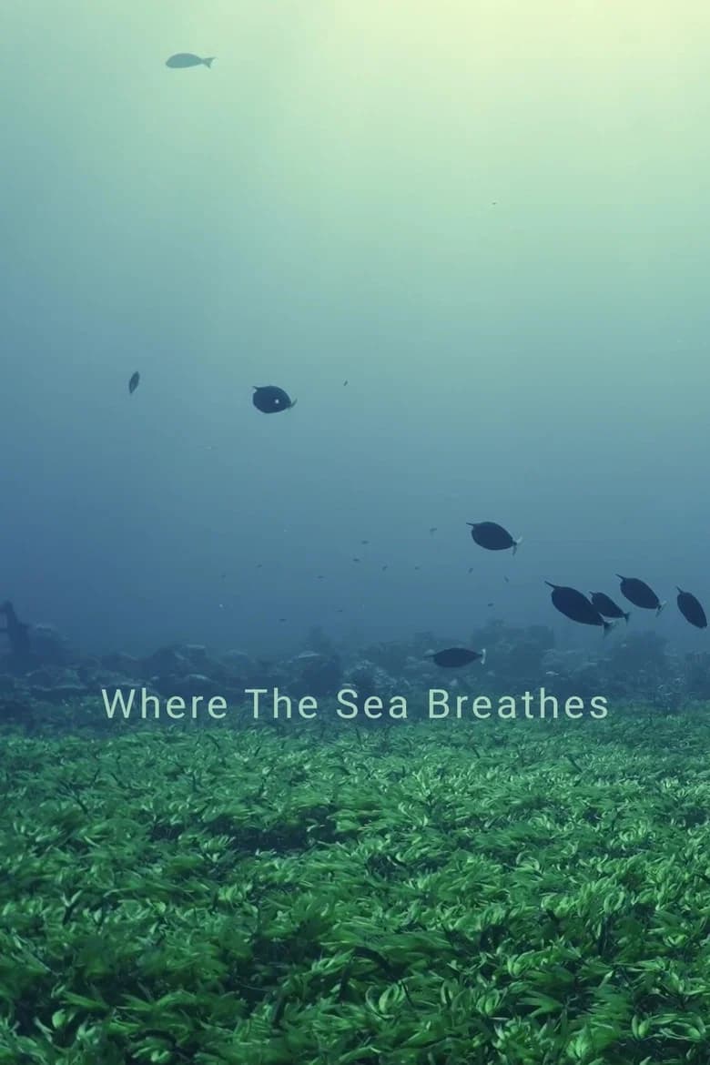 Where The Sea Breathes