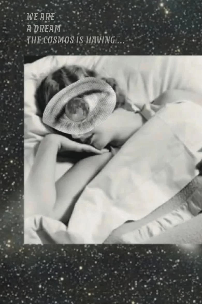 We Are a Dream the Cosmos is Having
