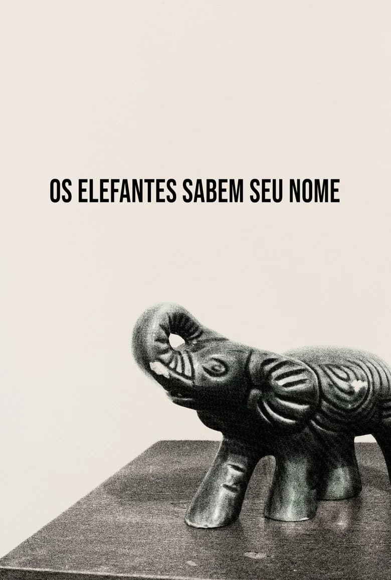 Os Elefantes Sabem Seu Nome