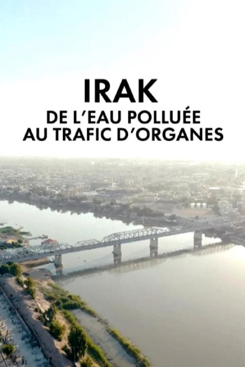 Irak,  de l'eau polluée au trafic d'organes
