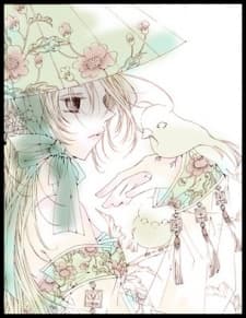 Velotte Sharveca Ryu Resilia Ardine 7th