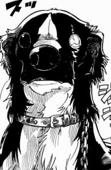Taro