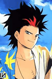 Tsubame Fury
