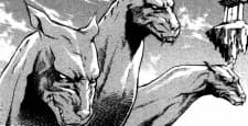 Cerberus