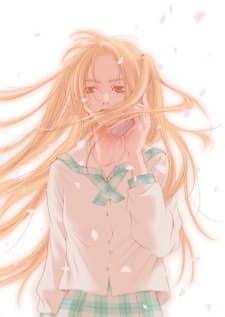Rika Saginuma