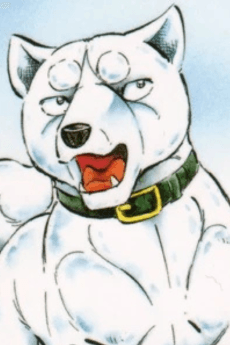 Shiro