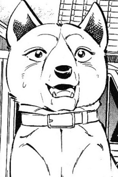 Yamabuki