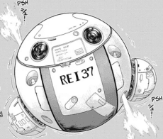 REI