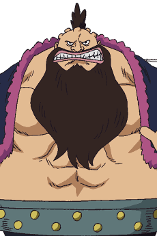 Counter Charlotte