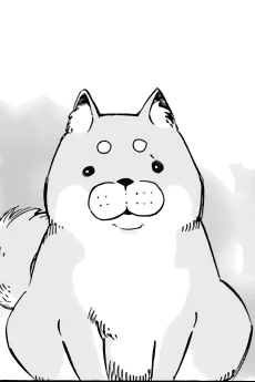Chako
