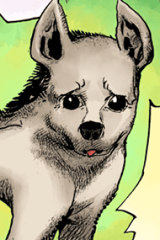 Iwasuke