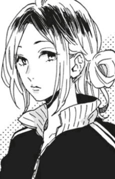 Ran Hoshino