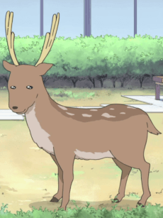 Shika